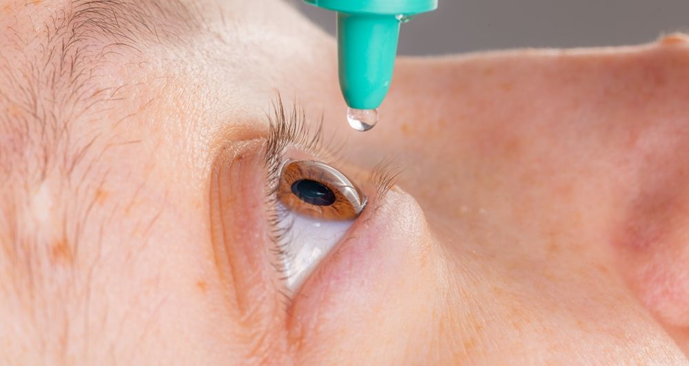 Retina